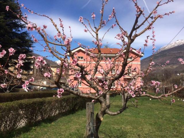 Al Borgo Di Sant'Orso - Cir 0342 Apartment อาออสตา ภายนอก รูปภาพ